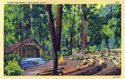Big Basin, California Postcard