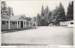 General View, Sequoia Gardens, Near Santa Cruz Post Card
