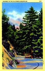 Highway in the California Mountains Postcard