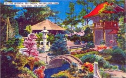 Oriental Tea Garden, Golden Gate Park, San Francisco, California Postcard