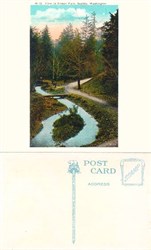 Postcard from Cowan Park, Seattle, Washington 1920's