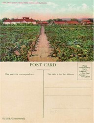Postcard of the Wine Cellars, Italian-Swiss Colony, Asti, California