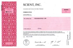 Scient, Inc - Delaware 2001
