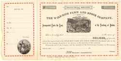 Wild Rice Farm and Stock Company - Dakota Territory 18__