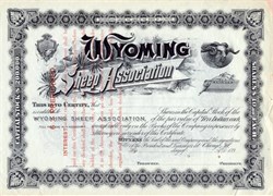 Wyoming Sheep Association - 1890's