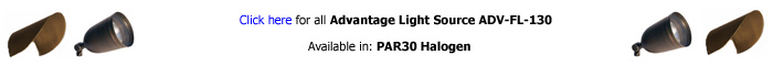 Advantage Light Source FL-130