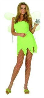 Adult Green Fairy Costume