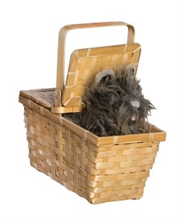 Deluxe Toto in A Basket