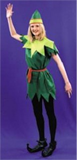 Adult Lady Peter Pan Costume