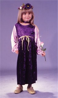 Toddler Velvet Harvest Princess Costume