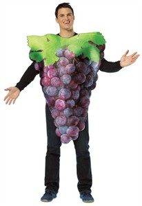 Adult Grapes Costume - purple