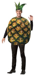 Adult Pineapple Get Real Costume