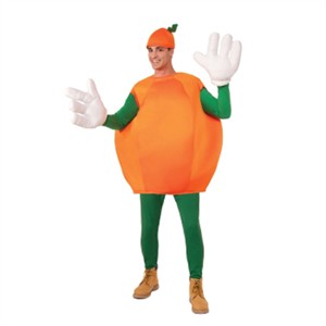 Adult Orange Fruit Costume