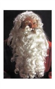 Adult Deluxe Santa Suit Wig and Beard