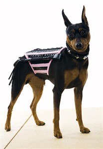Doginatrix Dog Costume - Pink/Black