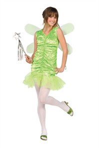 Teen Pixie Costume