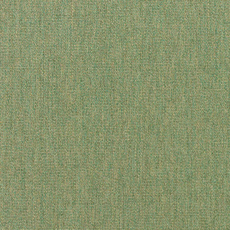 S-5487(+180.00) - Canvas Fern