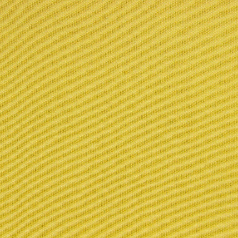 H123 - Veranda Daffodil