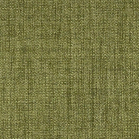 C536 - Rave Kiwi