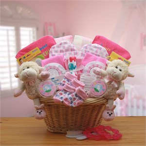Double Delight Twins New Babies Pink Gift Basket