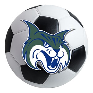 Georgia College and State University Soccer Ball Rug