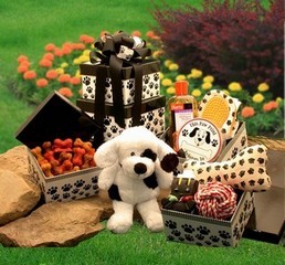 Patche's Doggie Tower Gift Set