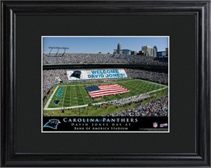 Personalized Carolina Panthers Stadium Print