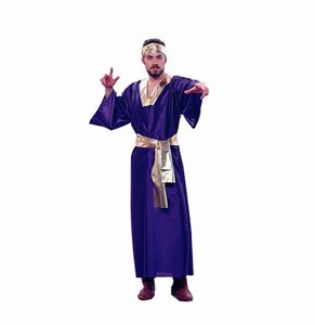 Adult Wiseman Costume - Purple