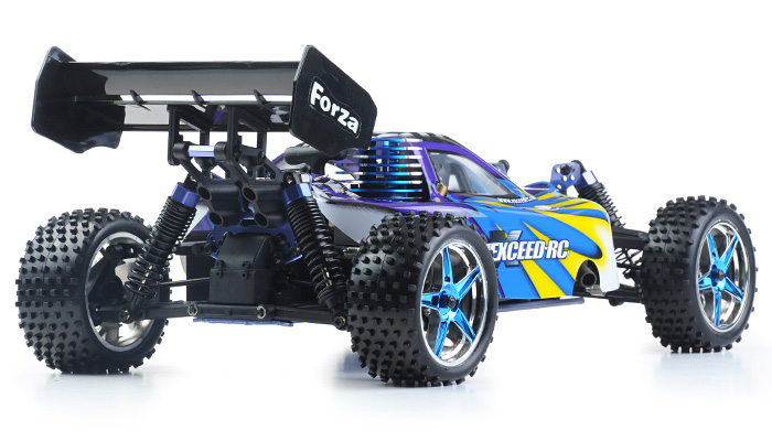 Exceed RC Buggy Radio Car 1/10 2.4Ghz 