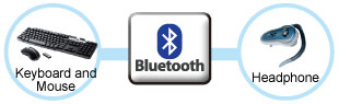 Bluetooth Module for Perfect Connections